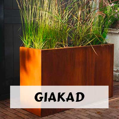 Giakad