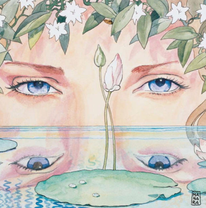 Eyes Eyes