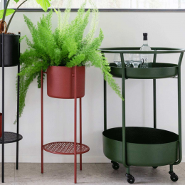Corona - carrello bar verde