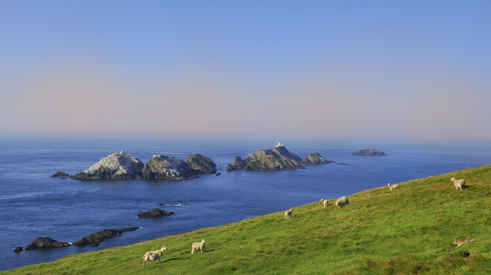 Muckle Flugga Muckle Flugga