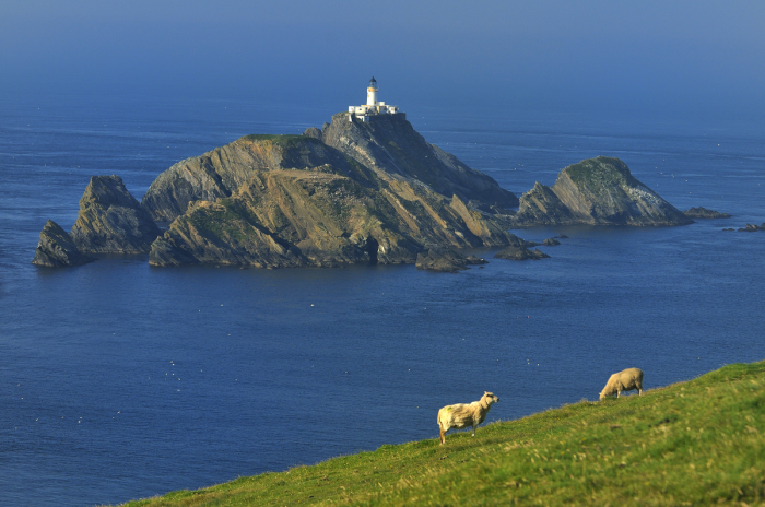 Muckle Flugga Muckle Flugga
