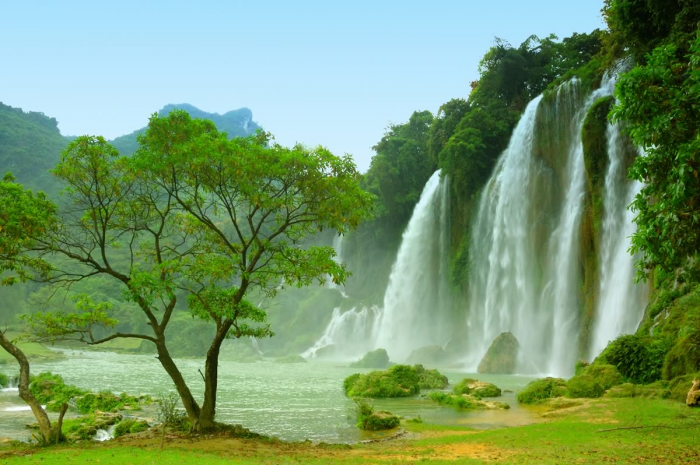 Natura con cascata Natura con cascata