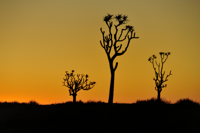 Tramonto su Fish River Canyon Tramonto su Fish River Canyon