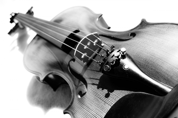 Violino Violino