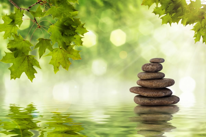 Natura Zen Natura Zen