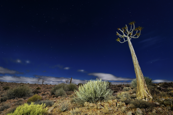 Night at Fish River Canyon Night at Fish River Canyon