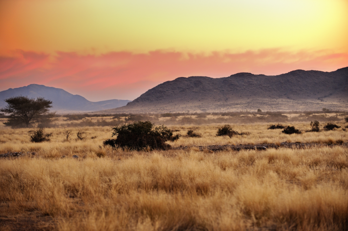 Kalahari Desert Kalahari Desert