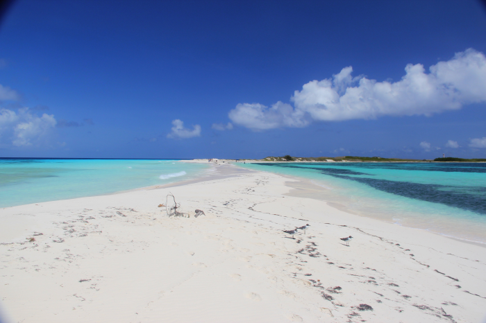 Spiaggia Los Roques Spiaggia Los Roques