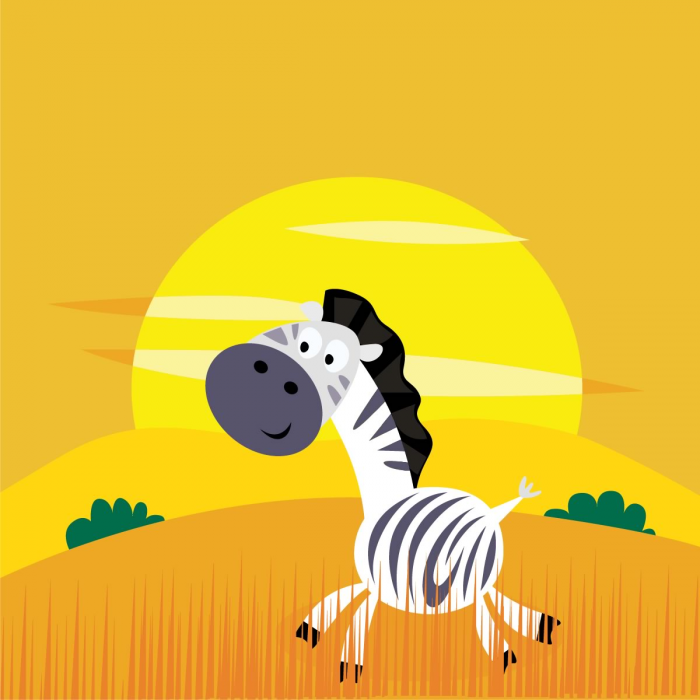 Zebra corre Zebra corre