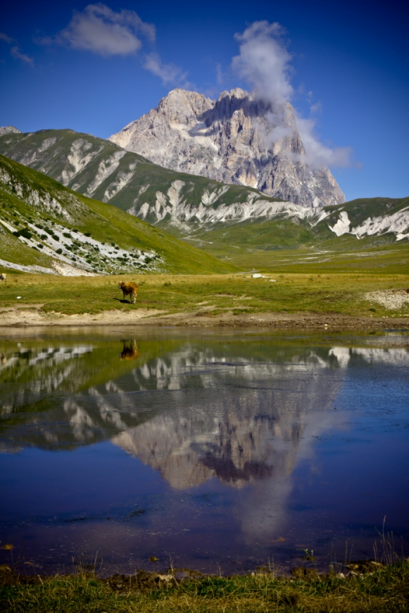 Foto Murale Paesaggi Montagna Livingdeco