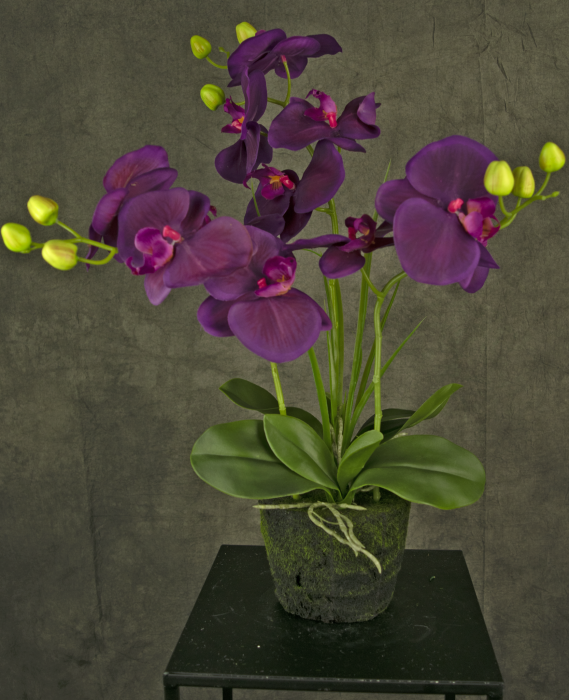 Fiona - Orchidea artificiale viola