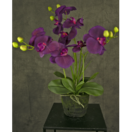 Fiona - Orchidea artificiale viola