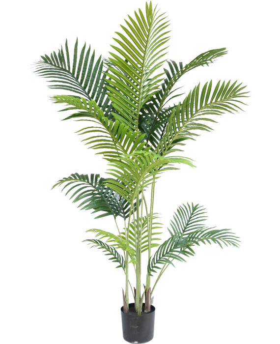 Phoenix - palma artificiale, 160 cm