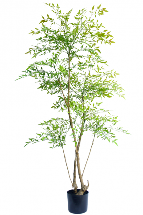 Ruscus - pianta artificiale alta 150 cm