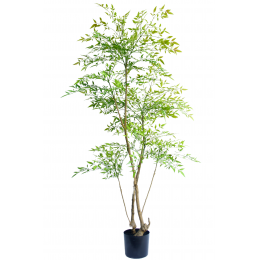 Ruscus - pianta artificiale alta 150 cm