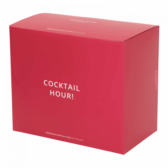 Martini cocktail - set due bicchieri, confezione regalo