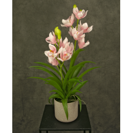 Orchid - orchidea artificiale  rosa, 58 cm, in vaso