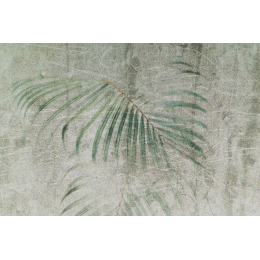 Palm