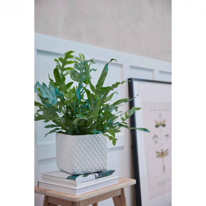 Portia - portavaso in ceramica bianca