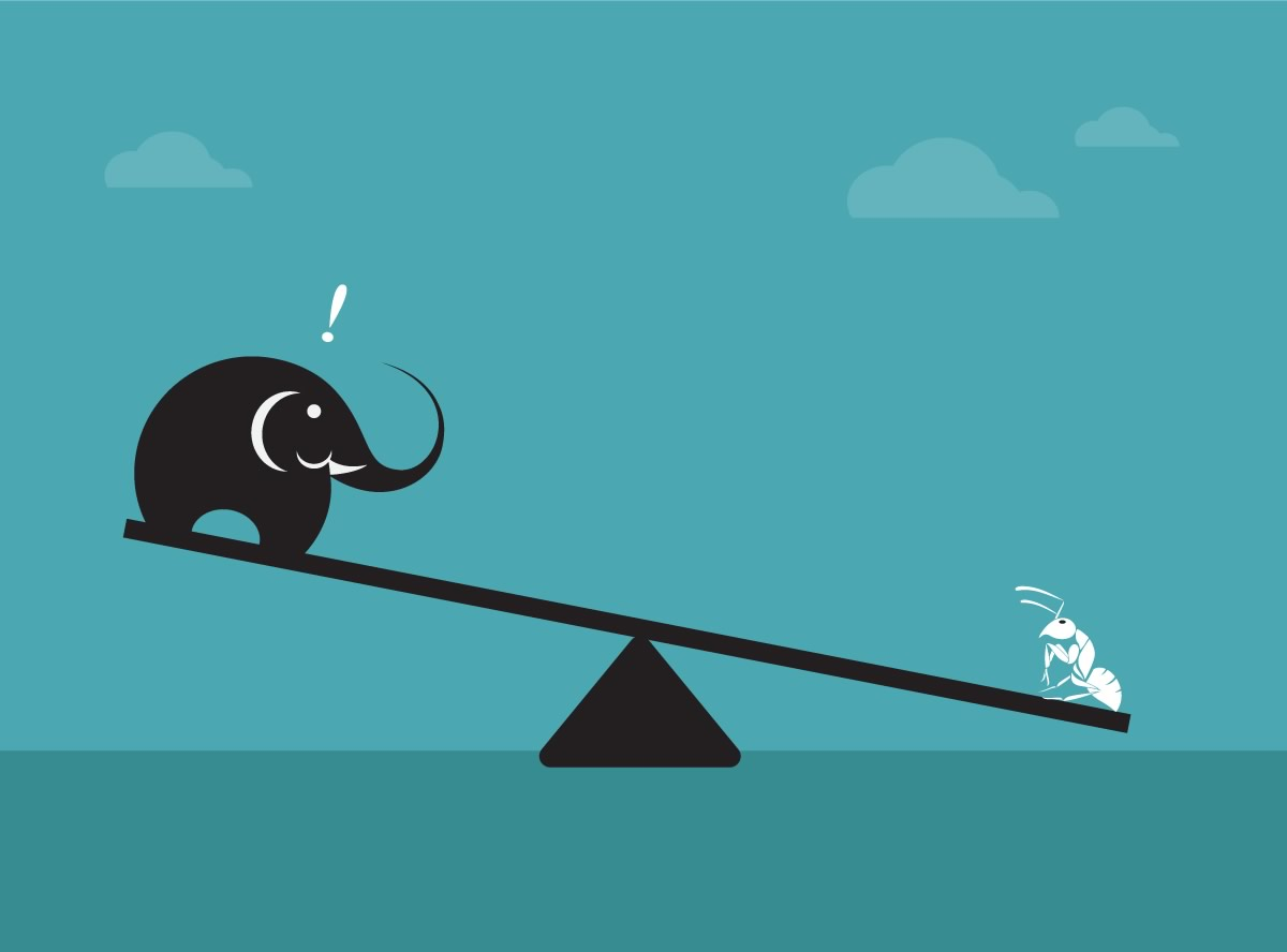 Jay wright illustration essay