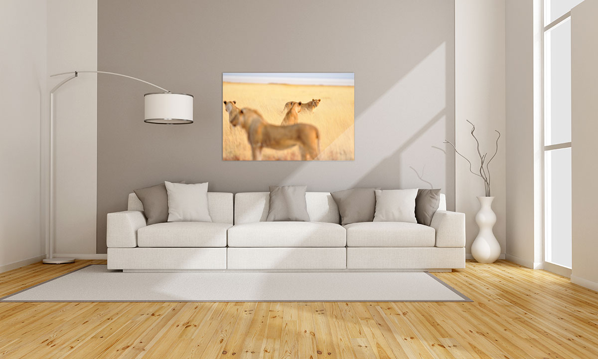 Decora La Tua Casa Decora La Tua Casa