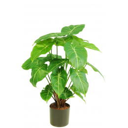 Syngonium -  pianta artificiale 58 cm
