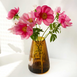 DIM Stripe large - vaso in vetro soffiato ambra DIM Stripe large - vaso in vetro soffiato ambra