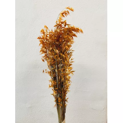 Flores-  mazzo di spighe di avena arancioni